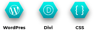 herramientas de desarrollo web wordpress, divi, css