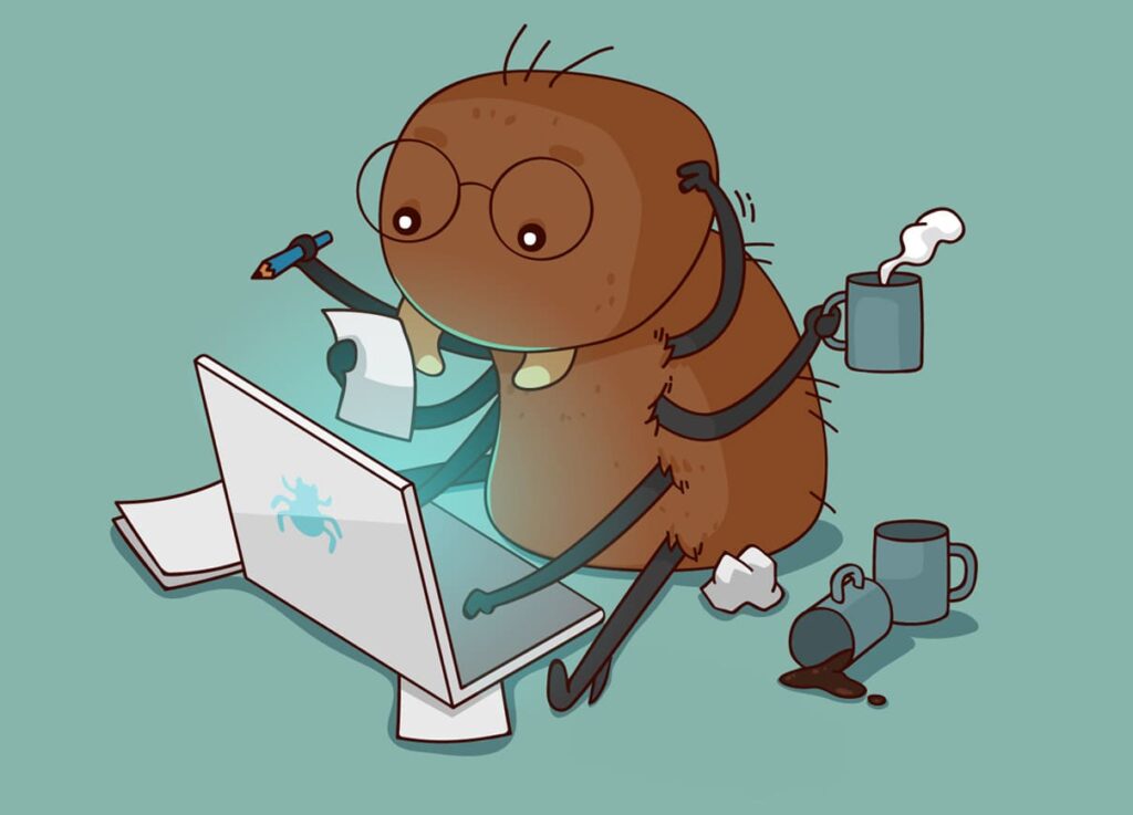 Seguridad web